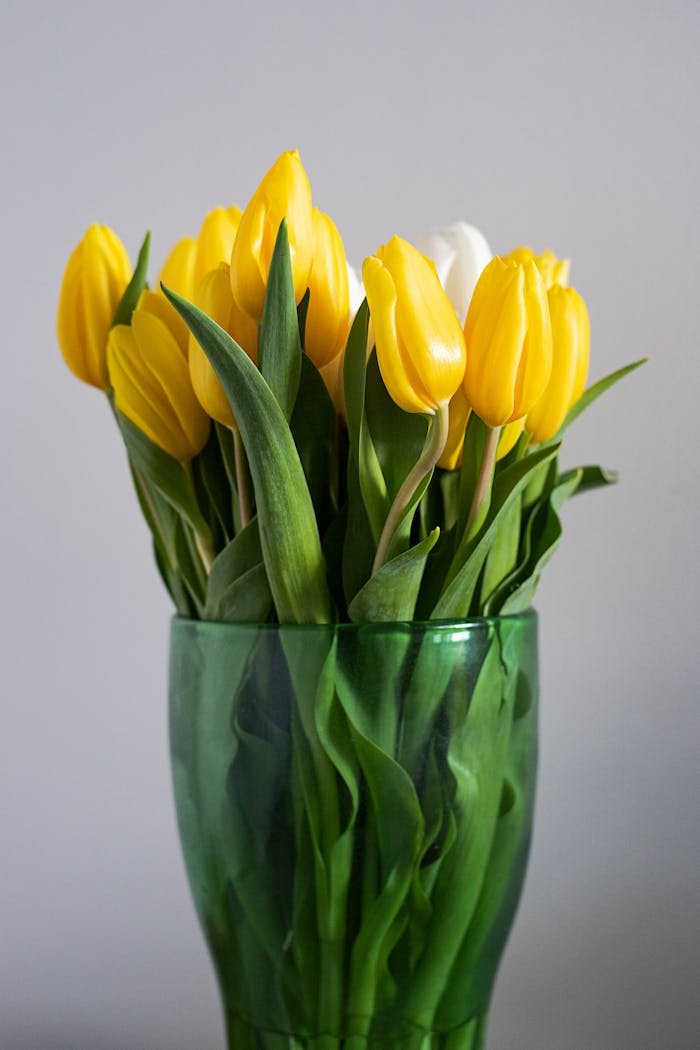 A bouquet of yellow tulips beautifully arranged in a green glass vase, perfect for spring decor.